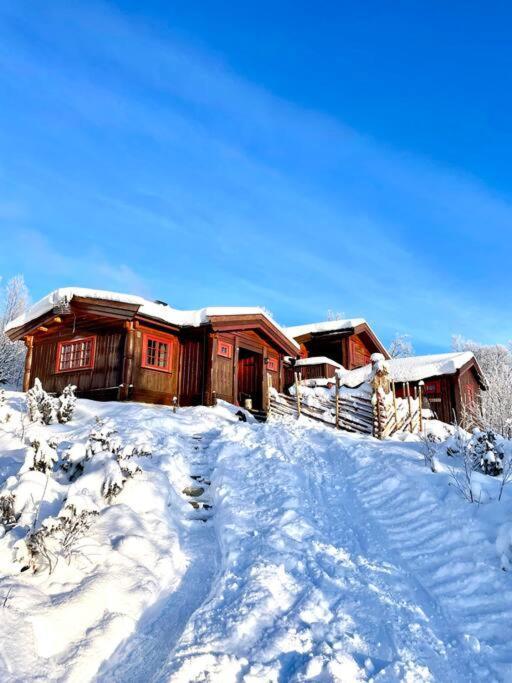 Koselig Familiehytte Pa Vakre Dagali - Naer Geilo Exterior photo